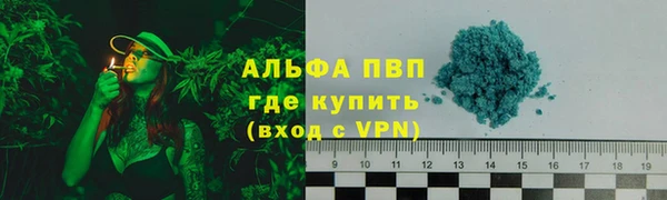 хмурый Алзамай