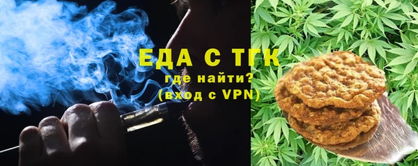 хмурый Алзамай
