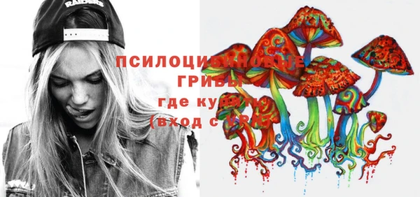 МДПВ Алексин