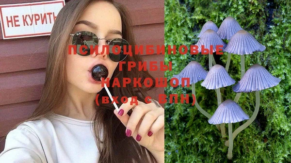 a pvp Абинск