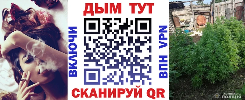Бошки марихуана Amnesia Плавск
